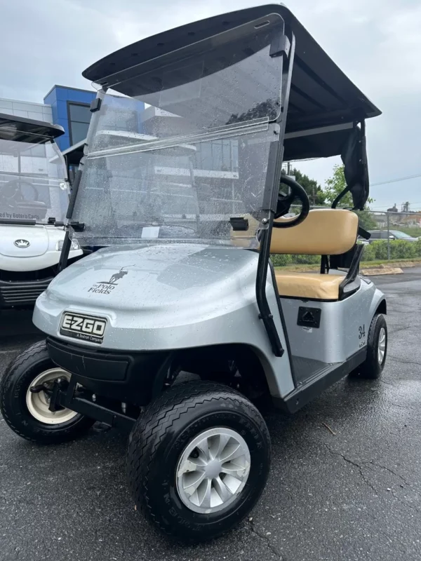 2019 E-Z-GO Freedom TXT
