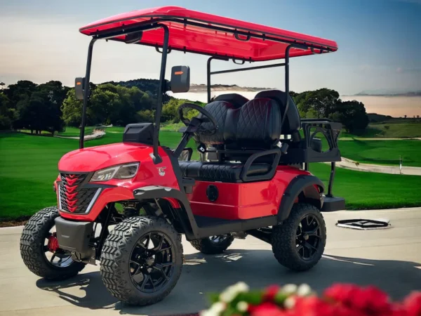 Custom Drive C-4 LUXURY FOUR PASSENGER W/ LITHIUM