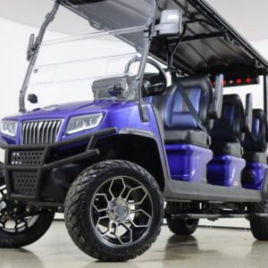 2024 Evolution Electric Vehicles D5-Maverick 6