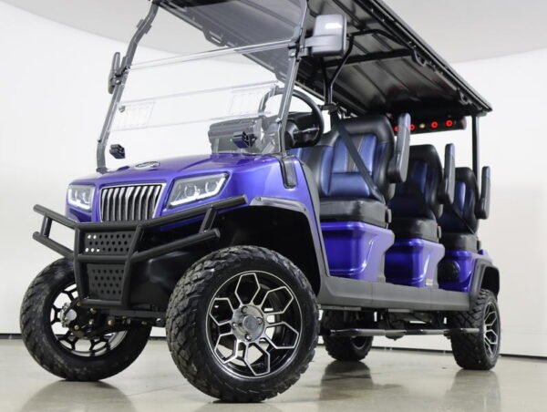 2024 Evolution Electric Vehicles D5-Maverick 6