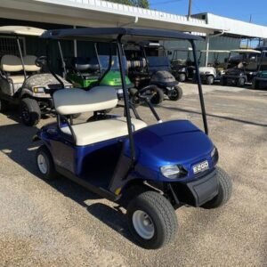 2019 E-Z-GO Freedom TXT
