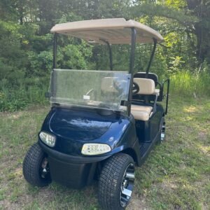 2018 E-Z-GO RXV® Electric